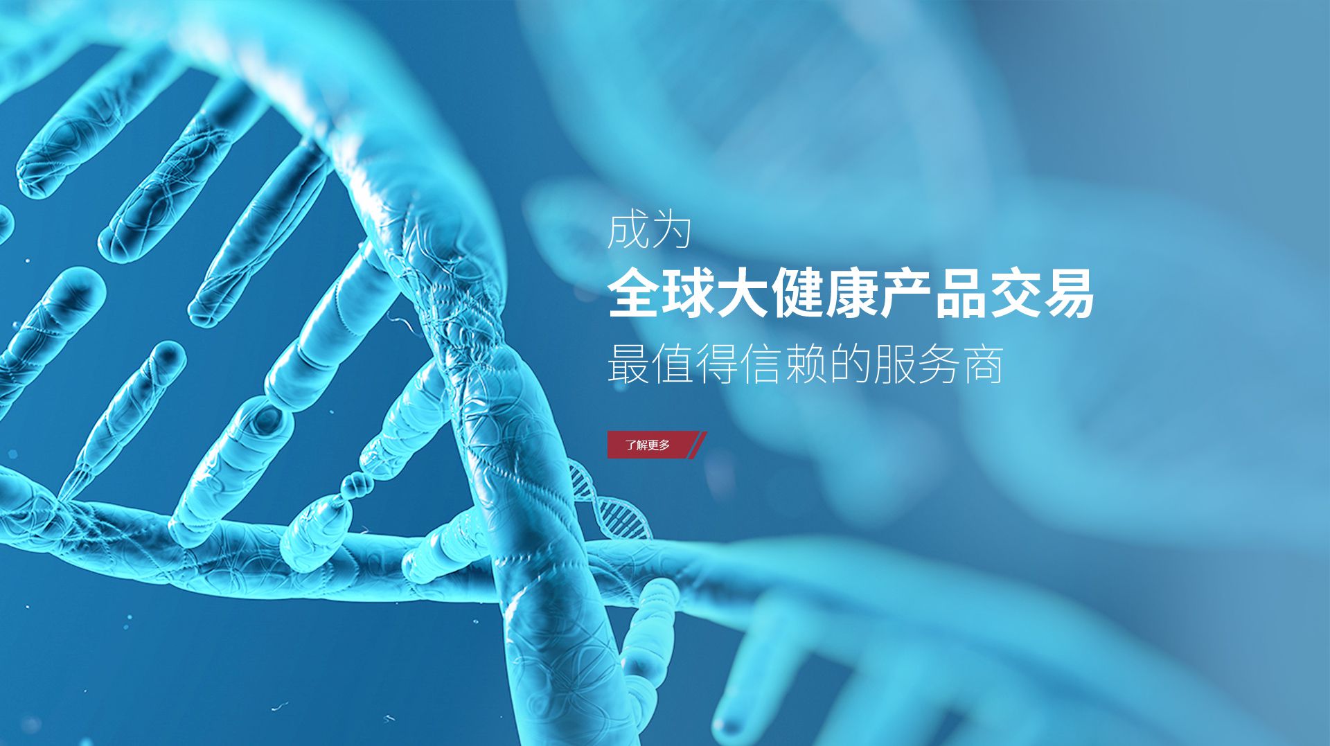 bevictor伟德科技